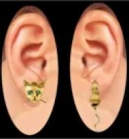 Cat & Mouse Thru the Ear Earring Stud & Jacket Set